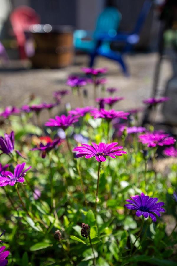 The Mint Cottage With Garden Anchorage Bagian luar foto